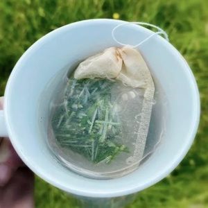 White Pine Tea Bags 25-Count Organic